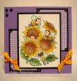 2009/10/21/Sunflower_Bees_copy-W_by_jodi-ann.jpg