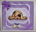 2009/10/25/purple_pup_front_by_1artist4highhopes.jpg