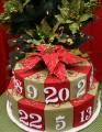 2009/11/18/Advent_green_and_red_2_by_jakauzi.JPG