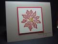 2009/12/08/brown_and_red_poinsettia_CAS44_by_maria031767.JPG