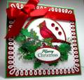 2009/12/10/cardinal_laceborder_by_Cards_By_America.JPG
