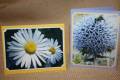 2009/12/10/flower_cards_by_Cherith.JPG