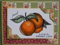2009/12/29/SC261_Live_the_Sweet_Life_Card_by_KY_Southern_Belle.jpg