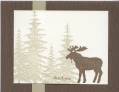 2010/01/20/Weathered_Moose_by_LauriBColeman.jpg
