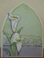 2010/01/24/Calla_Lily_Arch_by_dcorder.JPG