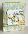 2010/02/04/Water_with_Lemon_CO_0210_by_ChristineCreations.jpg