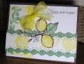 2010/02/06/FTTC52C_Birthday_Lemons_by_mnfroggie.JPG
