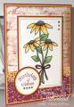 2010/02/08/vervebirthdaywishes-CC256_by_sweetnsassystamps.jpg