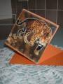 2010/02/10/110210_Tiger_Card_by_DodieW.JPG
