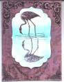 2010/03/04/Flamingo_Reflection_by_Tater.jpg