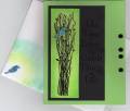 2010/03/06/Delicate_branches_card_envelope_by_marilynmac.jpeg