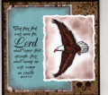 2010/03/16/eagles_wings_2_by_eagles777.png