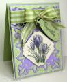 2010/03/26/Congratulations_Crocuses_CO_0310_by_ChristineCreations.jpg