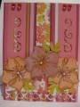 2010/03/28/March_Cards_056_by_spinprincess96.jpg