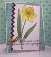 2010/03/29/daffodil_by_crafterthoughts.jpg