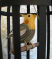 bird_cage_