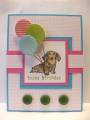 2010/04/13/Doxie_with_Balloons_by_denisecarolclark.JPG
