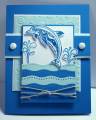 2010/04/16/dolphin_card_by_airbornewife_by_airbornewife.JPG