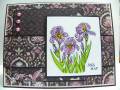 2010/04/21/Flourished_Iris_Card_by_KY_Southern_Belle.jpg