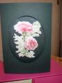 2010/04/24/230410_Aperture_Flower_Card_by_DodieW.JPG