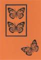 2010/05/10/monarch_butterfly_card_by_parkes.jpg