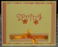 2010/05/16/spring_time_by_cardcreations09.JPG