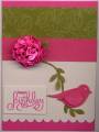 2010/05/18/Cards333_by_jguyeby.jpg