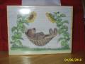 2010/05/22/Shirley_s_House_Mouse_Stamps_003_by_stampinggramof9az.JPG