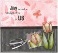 2010/05/24/B-_jennys_card_by_monkeymamma.jpg