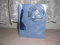 2010/05/25/Tissue_paper_flower_card_by_AhDuckyInk.JPG