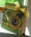 2010/06/06/sunflowers_yellow_and_green_by_peggysue.jpg
