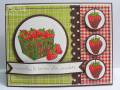 2010/06/08/Chocolate_Strawberries_Card_by_KY_Southern_Belle.jpg