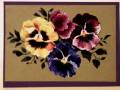 2010/06/12/100_0700Pansies_for_Carol-2010_by_Traci_S_.jpg