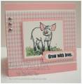 2010/06/12/square_pigs_by_tonistamps.jpg