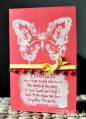 2010/06/15/Bleached_Fairy_Butterfly_by_BevMom.JPG
