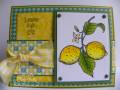 2010/06/15/TT4_Lemons_Life_Love_Card_by_KY_Southern_Belle.jpg