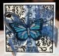 2010/06/21/Gifted_Butterfly_by_ThePeddler.jpg