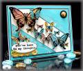 2010/06/24/Butterfly_Collage_5469_by_justwritedesigns.jpg