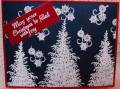 2010/07/06/FTTC74_Christmas_in_July_001_by_Karen_Wallace.JPG