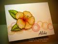 2010/07/07/Hibiscus_by_TheresaCC.jpg