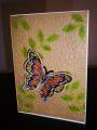 2010/07/24/Fern_and_Butterfly_Notecard_by_pinkberry.JPG