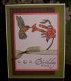 2010/07/31/Hummingbird_Birthday_Card_by_myhobbyisstamping.JPG