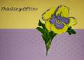 2010/08/11/Yellow_Pansy_sm_by_Traci_S_.jpg