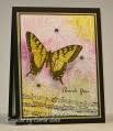2010/08/29/FS186_Carol_s_Butterfly_and_Jewels_by_cmsuto.jpg