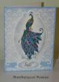 2010/09/02/One-paper-Peacock---9-2-10_by_Lainy67.jpg