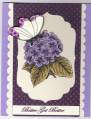 2010/09/07/Flowers_and_Flutterbys_bb_by_triasimite.jpg