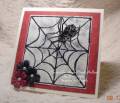 2010/09/18/Spider_and_Web_1_lisaatha42_2_by_boobalet.JPG