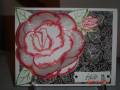 2010/09/22/rose_card_001_by_Sassilass.JPG
