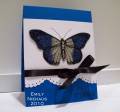 2010/09/24/Blue_Monarch_by_stampingout.jpg
