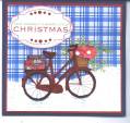 2010/10/08/Christmas_cycle_by_Tater.jpg